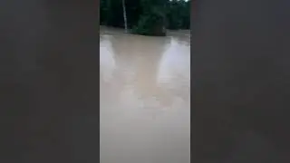 creciente del Rio alto uruya  carretera Neshuya / Curimana km 8