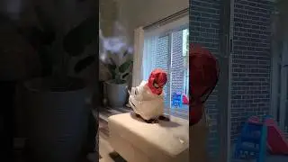 Wonder woman revenge on spiderman #trending #viral #youtubeshorts #spiderman