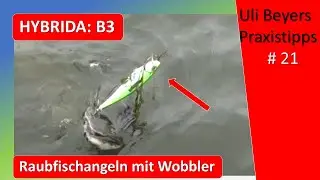 Hybrida Wobbler: B3 f&uuml;r kapitale Hechte und Zander
