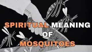What do Mosquitoes mean SPIRITUALLY?