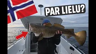 Kad pie auklas pieķeras ŠIS… kļūst kluss 🎣🌊