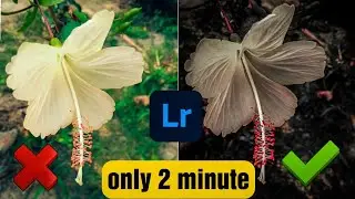 Next level photo editing in lightroom ||Music link in description