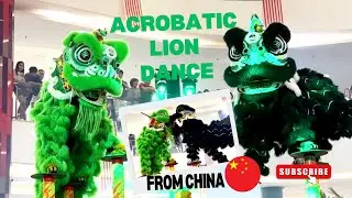 China Acrobatic Lion Dance Performance  
