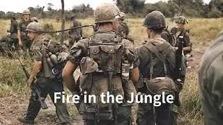 Fire in the Jungle
