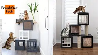 Best Modern Cat Furniture