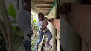 Mi sangre está enojadísimo con Dylan 😂😂😂😂😂😂