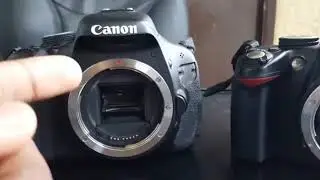 Why the Cannon T3i is the Best camera in the world