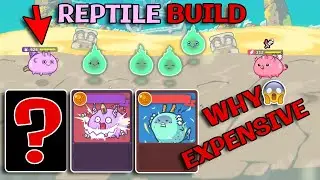 AXIE INFINITY REPTILE TERMINATOR BUILD (RRP) TEAM | WHY SO EXPENSIVE ?