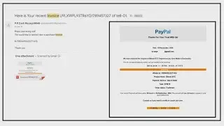 How to spot Bitcoin scam | 2 Wants to Know