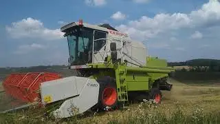 ▶Żniwa Pszenicy 2020!✔Claas Dominator 150 w Akcji!☆Wieś szaleje!!