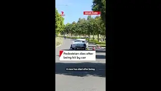 Pedestrian dies after being hit by car at Oran Park in Sydney's southwest