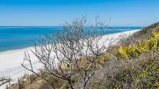 Seacrest Florida 7Br Gulf Front Vacation Rental Home, 87 Green St