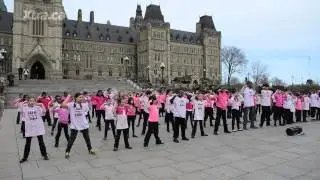 International Day of Pink flash mob - Parliament Buildings