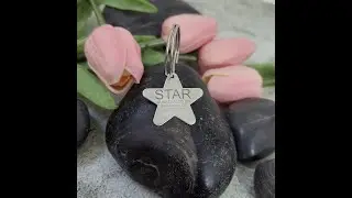Personalized Star 925 Sterling Silver Dog Pet ID Tag