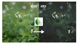 Snapseed tutorial -Dark Green Tone