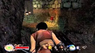 Let's Play Tenchu Fatal Shadows Part 16 - Flames of Passion