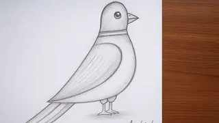 How to Draw a Pigeon 🕊️ | Easy Bird Drawing for Kids | Step by Step Tutorial
