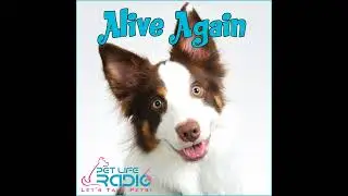 Alive Again - Episode 80 Inside the Mind and Body of Your Pet: Animal Medical Intuition Unleashed