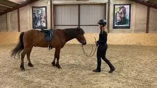 Øvelser fra jorden med Amalie San Pedro