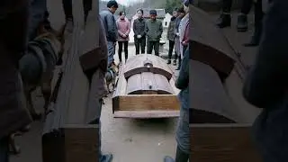 😭🐶 A Dog Refused to Leave His Owner&rsquo;s Funeral ❤️ #doglove #germanshepherd #dog #animals#DogLoyalty