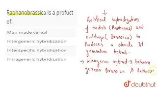 Raphanobrassica is a profuct of: