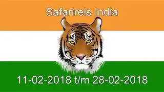 Safarireis India | Djoser