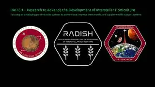 Constraints and Advancements in the use of Martian Regolith Simulants for Space Agriculture Research
