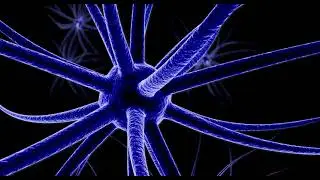 Neurons Firing inside Human Brain: Simulation