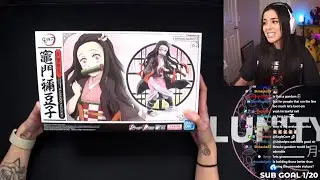 [01.16.24] Nezuko Model Kit & Pokemon TCG