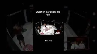 That they are #mma #ufc #kickboxing #bjj #kicks #fight