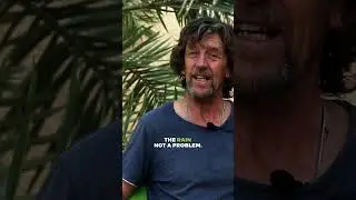 Древнее сельское хозяйство, финиковые пальмы, небольшие сады и пермакультура в жарких засушливых ...