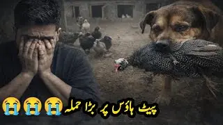 Pet House Ka Sab Se Mushkil Din | Dard Bhari Story