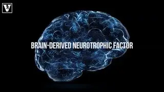Novel finding shows that brain cells conduct antidepressant action even in the absence of activity