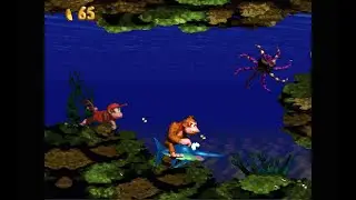 Donkey Kong Country - Aquatic Ambience (Super Nintendo/SNES) [FLAC/FHD] 🎧
