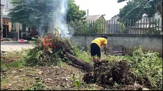 Bersihin Lahan