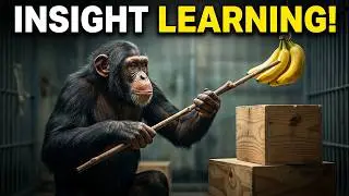 The Gestalt Theory of Learning | COGNITIVE FIELD THEORY OF LEARNING