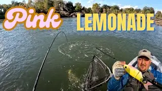 I can't believe this crazy looking lure is a fish magnet!  Pink lemonade Glide