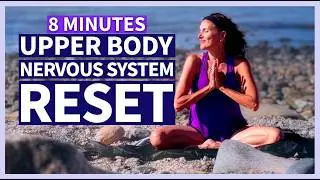 Seated Somatic Yoga Stretch | UPPER BODY + NERVOUS SYSTEM | 8 Minutes