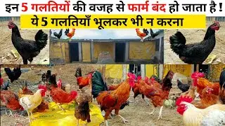 ये 5 बातें जाने बिना मुर्गी पालन कभी शुरु मत करना || इन गलतियों की वजह से मुर्गियां बीमार होती है ||