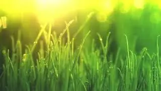 relaxing for quarantine ,meditation,relax,study,zen,yoga and deep sleep  music,insomnia.