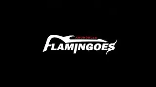 FAST NONSTOP ~ FLAMINGOES