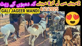 Dumba market Gali jageer || New update 08/02/2025