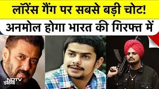 Anmol Bishnoi Deported From USA |Lawrence Bishnoi Gang पर कड़ी चोट! भारतीय एजेंसियां करेंगी गिरफ्तार