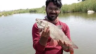 Nalgonda Fishing II Village Fishing II Fishing in II Fishing in a small pond II Syed Vaseem II