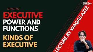 What are Executives?  Types and Power Distribution