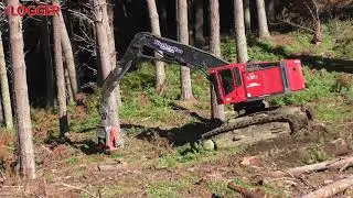 NZ Logger Final Iron Test June 2018