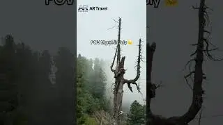 POV Murree in July 2025 | White Horse & Beautiful Murree Hills | AR Travel Pakistan Vlog