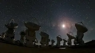 ALMA reveals planetary construction sites
