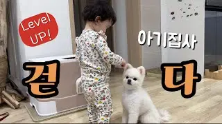 아기집사가 걷기 시작했다😧