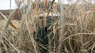 Critical Late Season Food Plot Hunting Tips